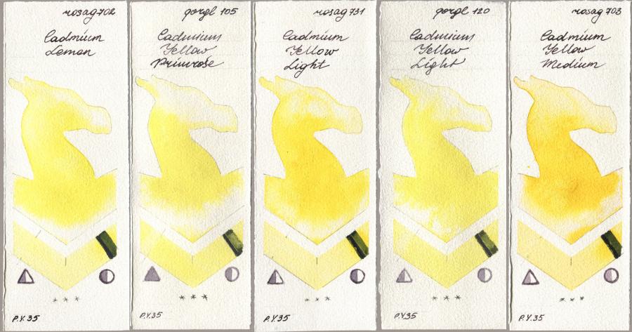 Rosa Gallery 702 Cadmium Lemon, Golden QOR 105 Cadmium Yellow Primrose, 731 Cadmium Yellow Light, 120 Cadmium Yellow Light, 703 Cadmium Yellow Medi watercolor swatch
